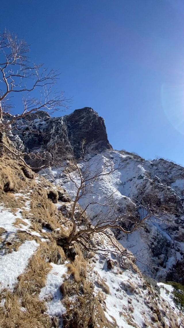 It was a perfect Yatsugatake blue🟦

まさに八ヶ岳ブルーでした☀️

#fujioutdoorbase 
#八ヶ岳 
#八ヶ岳ブルー 
#登山ガイド 
#アイスクライミング 
#yatsugatake 
#mountainguide 
#iceclimbing