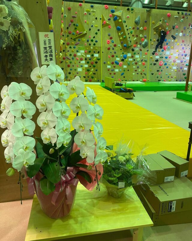 Our climbing gym “Yoccha-boul”has been opened now:)
★open hour•••10:00-2200(No day off)

【Our Rules】
First,basically we’re an unmanned store so our guests can come and climb themselves freely but if anyone who has never used our gym need to make a reservation to use with DM on yoccha-boul account before coming and write a registration form.

Second,you don’t have to pay to use our gym basically😂It’s free!!but we still need some money to keep our gym so we adopted a donation system for it!
If you enjoy climbing a lot at our gym, please put some in the donation box on the counter🙇

We know it’s crazy but this is our basic idea.
We hope you’ll have a great time at our gym😉

私たちのジムである”よっちゃボル”がオープンしております！

★オープン日時•••10-22(定休無し)

【使用上のルール】
まず基本的に当ジムは無人営業です。
お客さんは好きな時に来て登って行って大丈夫です！
しかしながら当ジムを使った事が無い方はよっちゃボルアカウントのDMにて事前予約していただき、登録用紙にご記入をいただきます。

またなんと当ジムには決まった施設利用料が無く、基本タダです笑！
ですが施設維持費があるので、
めっちゃ楽しかったらそのお気持ち分のカンパをお願いします笑。でも基本は無料です！楽しいが先でお願いします🙇
おかしな話ですが、これが私達の基本的な考え方です。
カウンターに募金箱が置いてありますので、大いに楽しんで帰ってくださいね😉

こんな感じで始まったよっちゃボルですがオープンから多くの人に使用して頂いており本当に嬉しい限りです。
皆様のご来店をお待ちしております！

#bouldering 
#boulderinggym 
#climbing 
#climbinggym 
#ボルダリング 
#ボルダリングジム 
#クライミング 
#クライミングジム 
#よっちゃボル